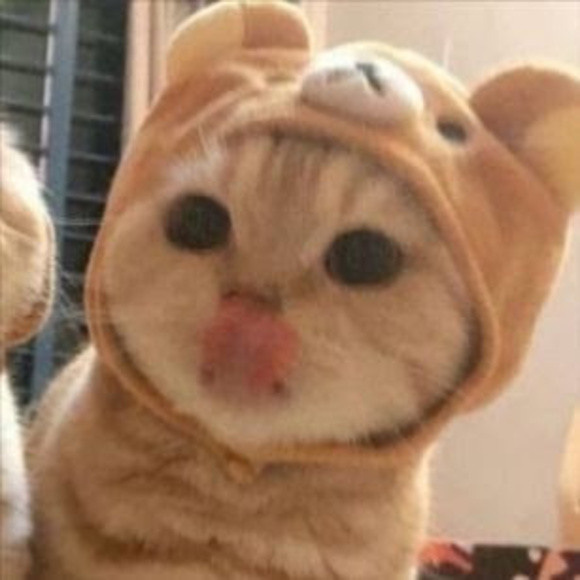 Meet your Posher, Sofia - Picture 1 of 1